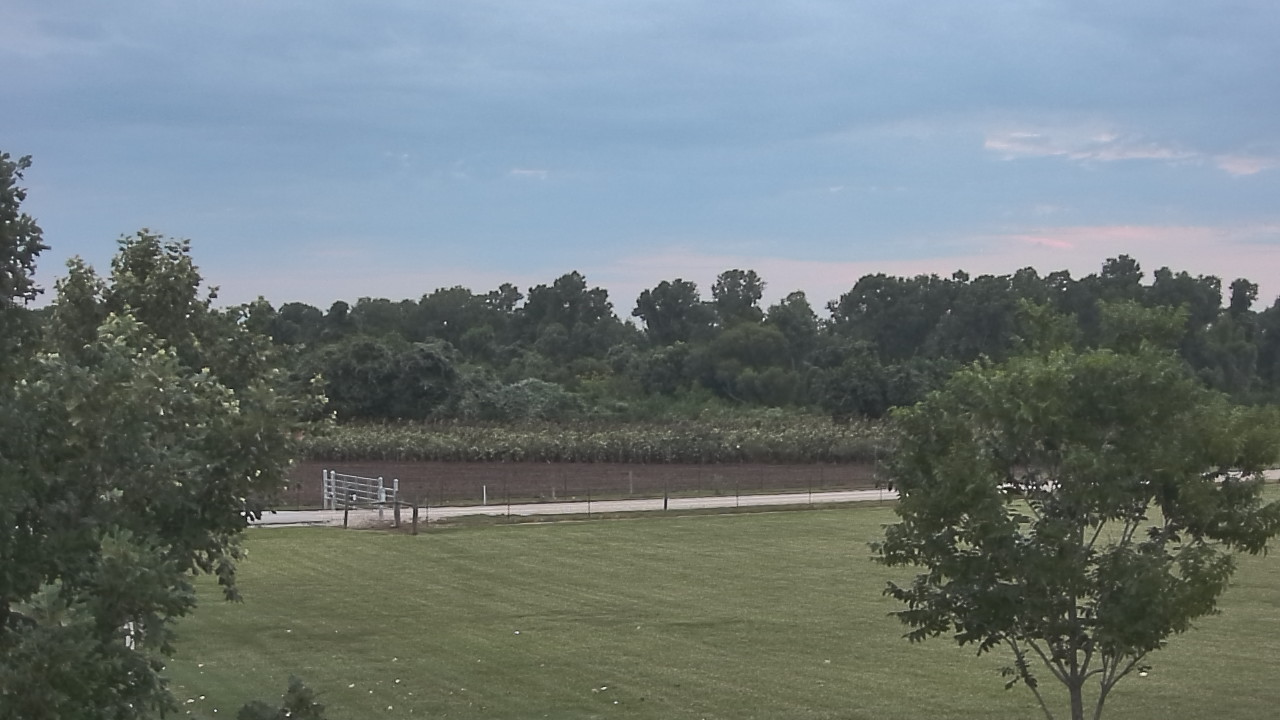 Thumbnail for current weather camera view from Long Acres Ranch in Richmond, Texas