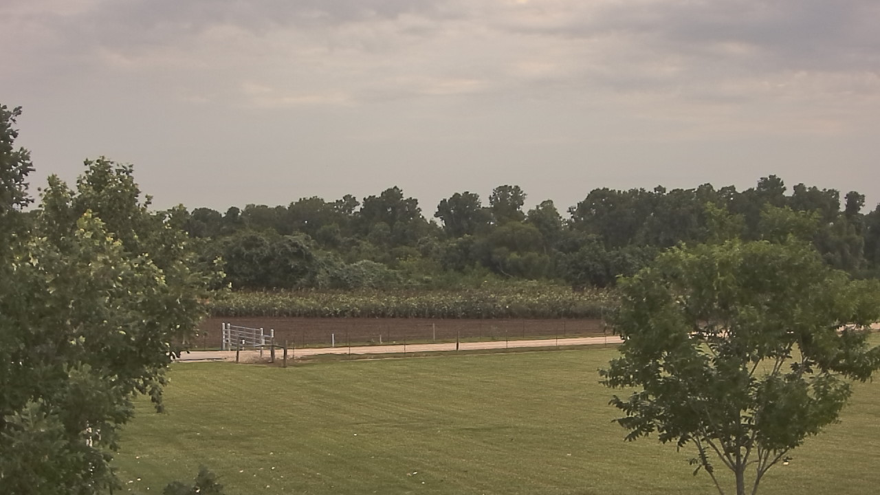 Thumbnail for current weather camera view from Long Acres Ranch in Richmond, Texas