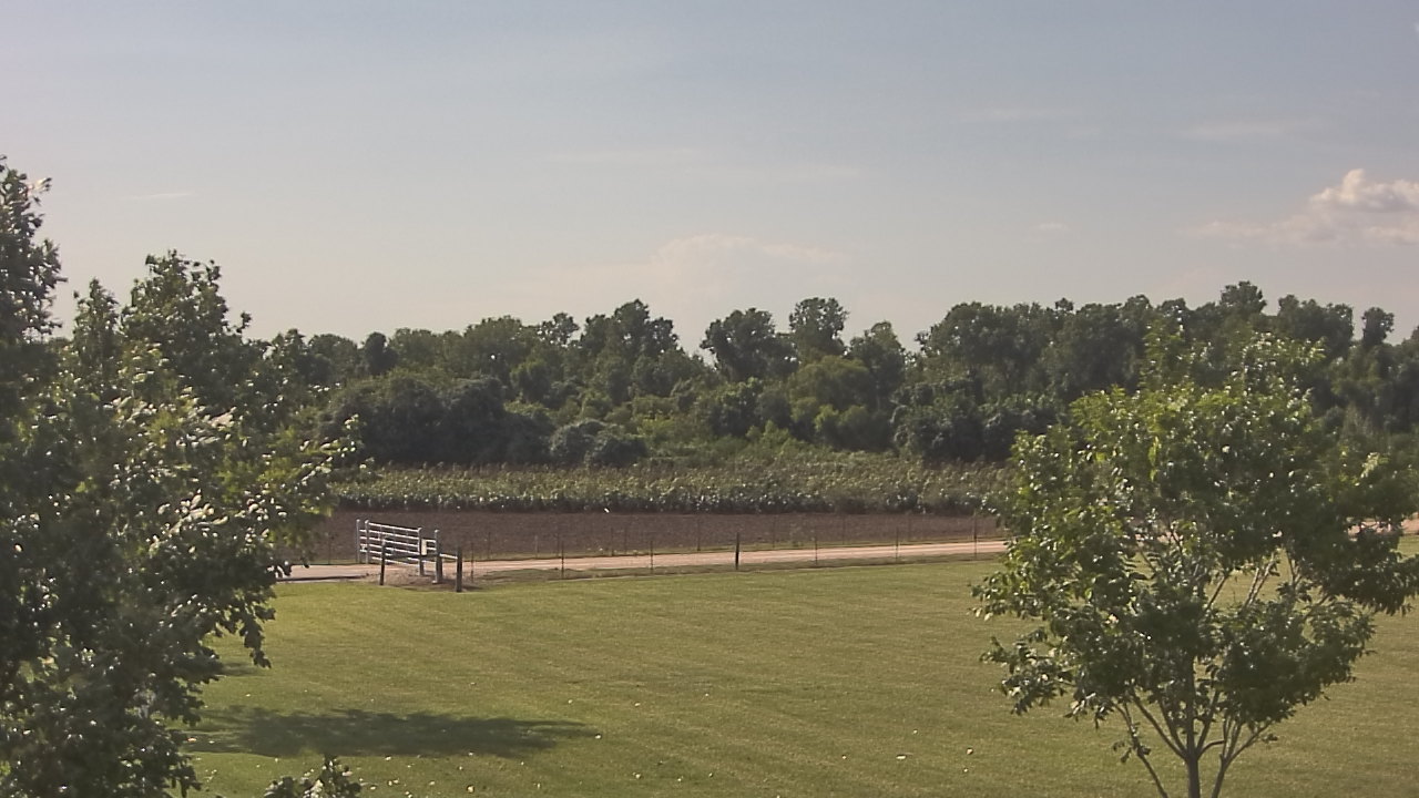 Thumbnail for current weather camera view from Long Acres Ranch in Richmond, Texas