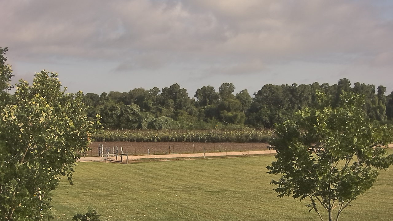 Thumbnail for current weather camera view from Long Acres Ranch in Richmond, Texas