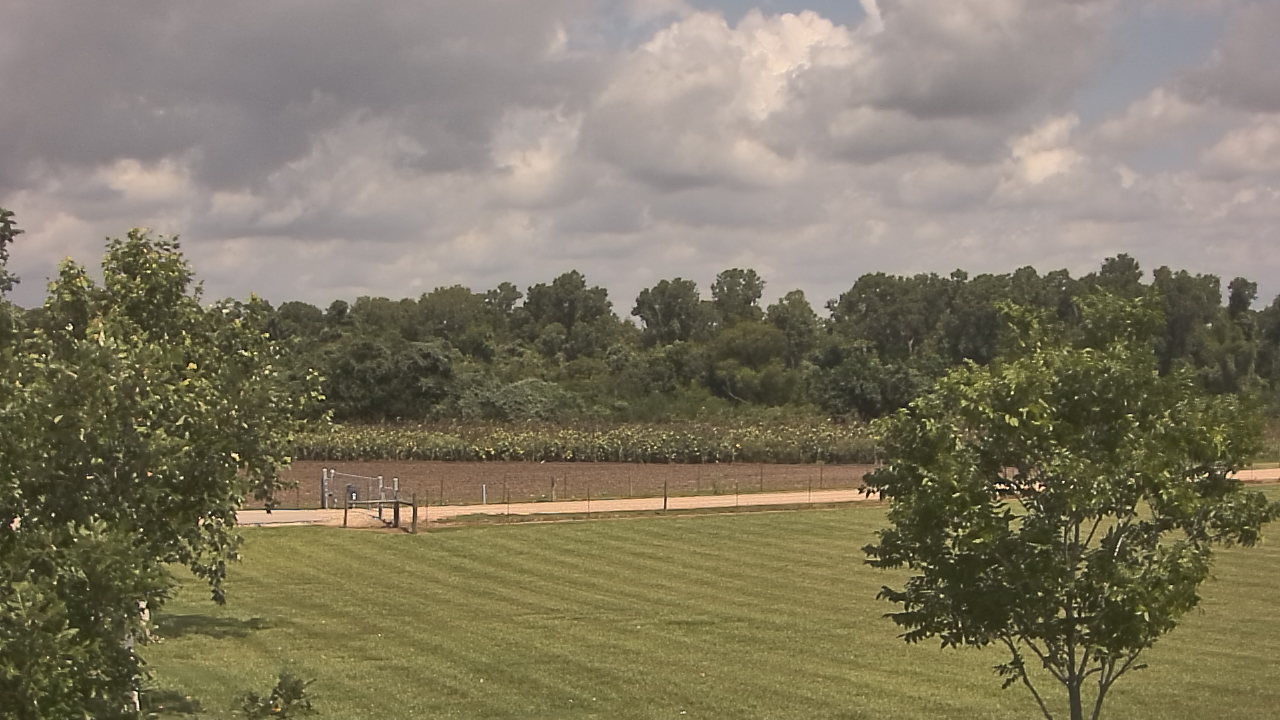 Thumbnail for current weather camera view from Long Acres Ranch in Richmond, Texas