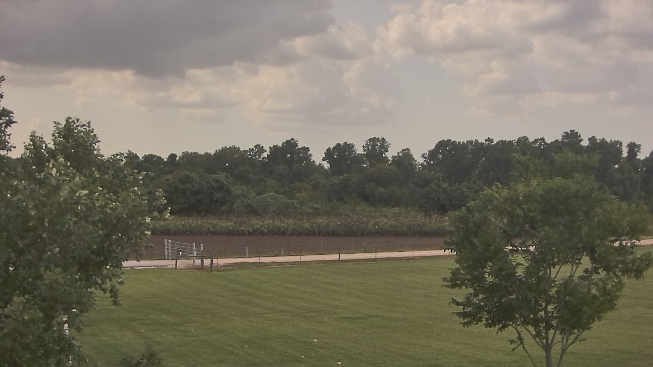 Thumbnail for current weather camera view from Long Acres Ranch in Richmond, Texas