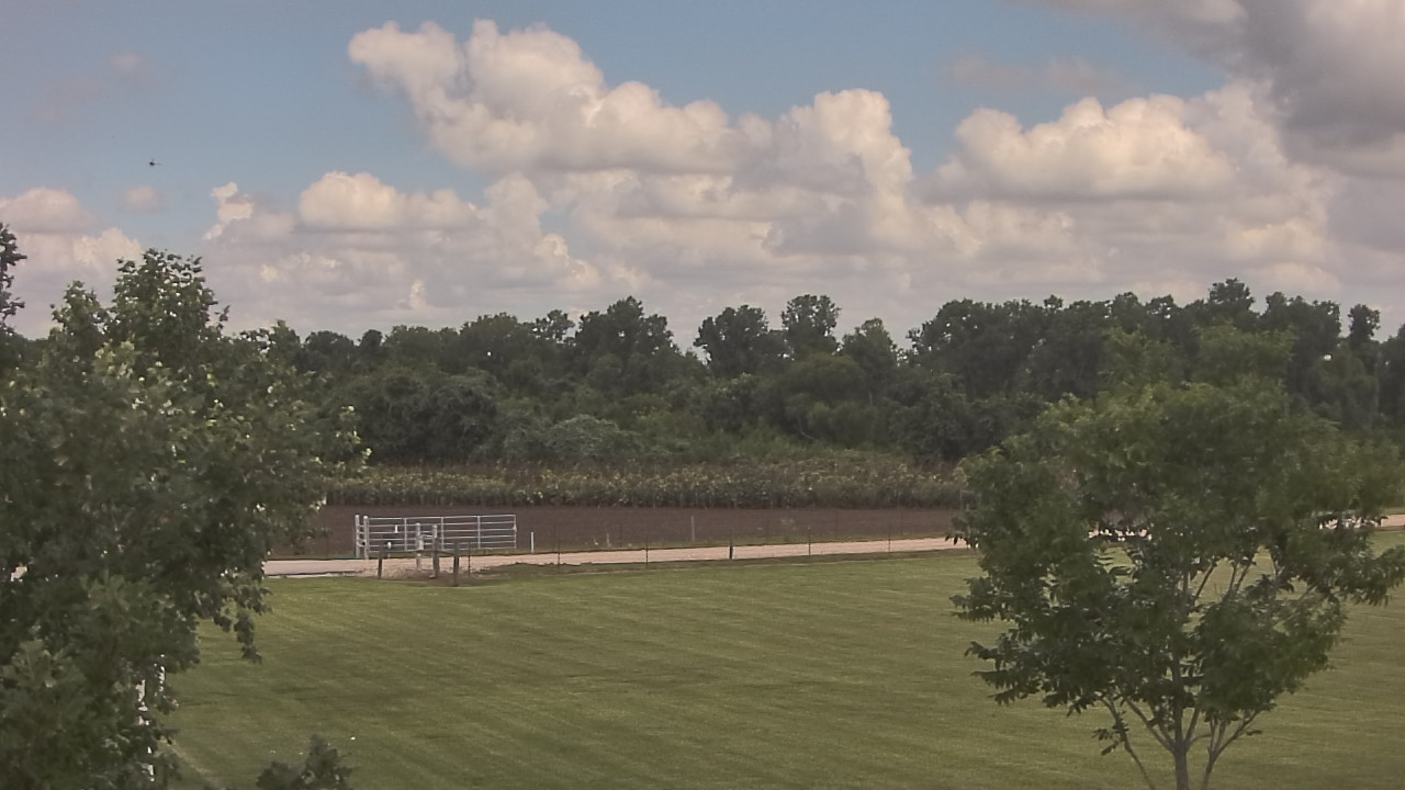Thumbnail for current weather camera view from Long Acres Ranch in Richmond, Texas
