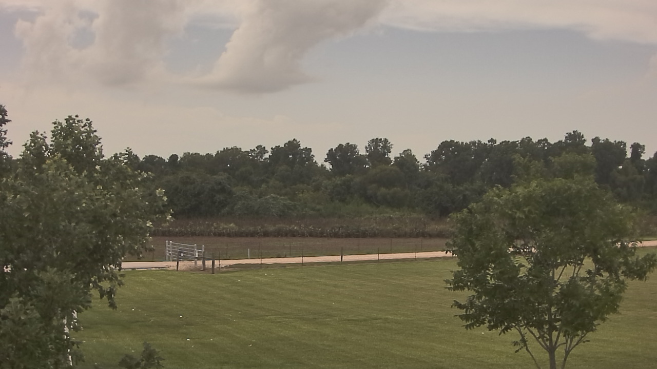 Thumbnail for current weather camera view from Long Acres Ranch in Richmond, Texas