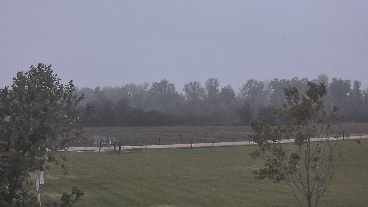 Thumbnail for current weather camera view from Long Acres Ranch in Richmond, Texas