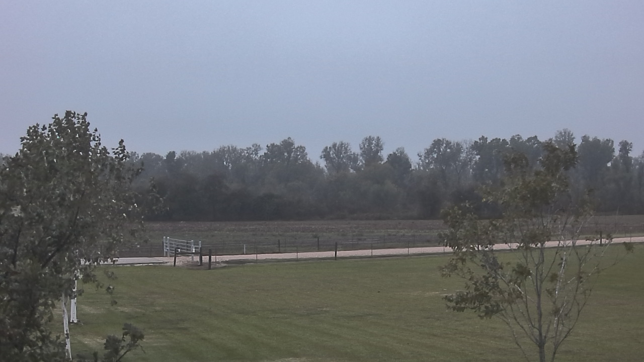 Thumbnail for current weather camera view from Long Acres Ranch in Richmond, Texas