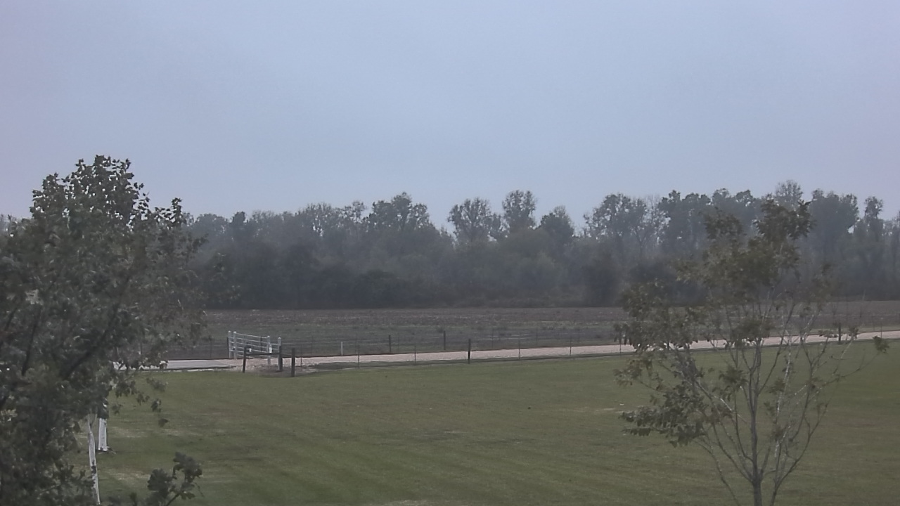 Thumbnail for current weather camera view from Long Acres Ranch in Richmond, Texas