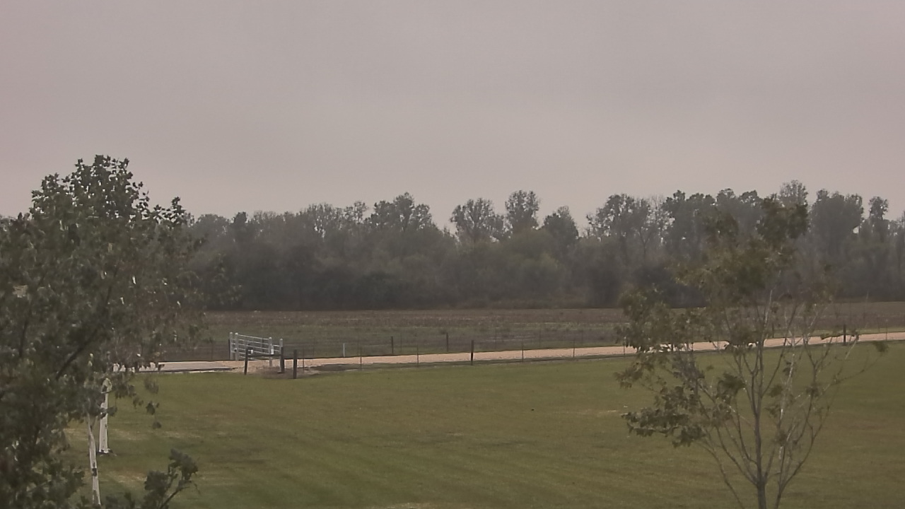 Thumbnail for current weather camera view from Long Acres Ranch in Richmond, Texas