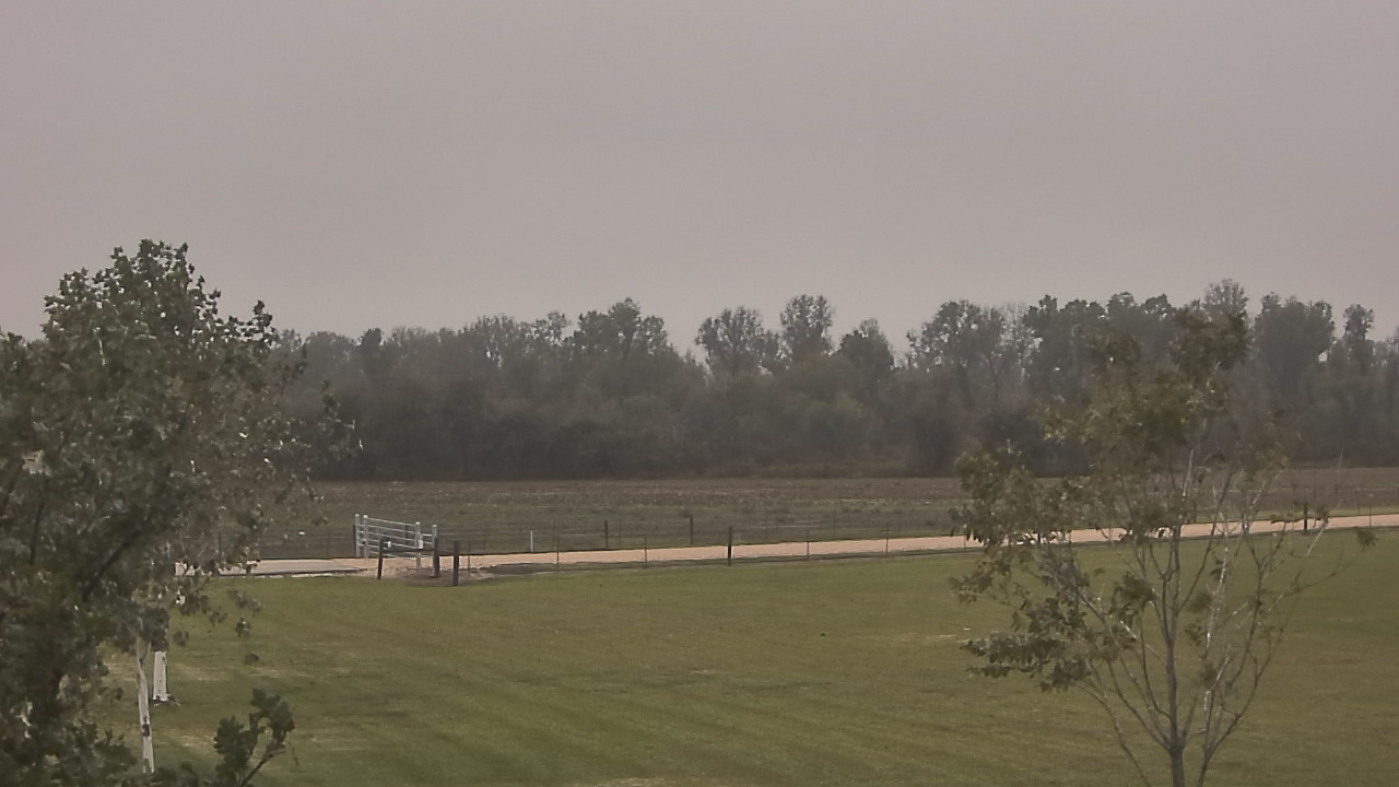 Thumbnail for current weather camera view from Long Acres Ranch in Richmond, Texas