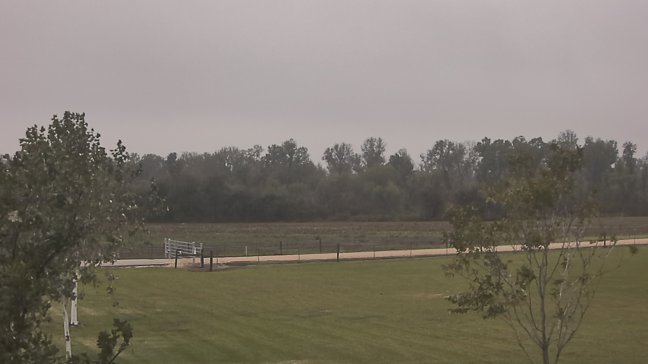 Thumbnail for current weather camera view from Long Acres Ranch in Richmond, Texas