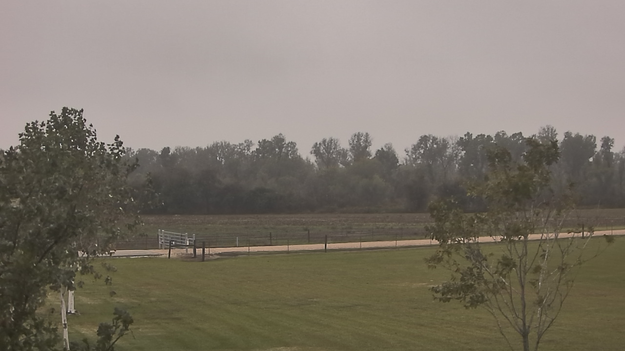 Thumbnail for current weather camera view from Long Acres Ranch in Richmond, Texas