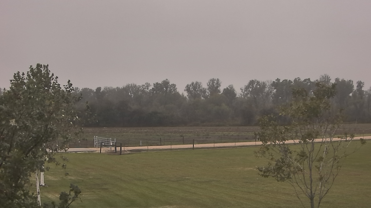 Thumbnail for current weather camera view from Long Acres Ranch in Richmond, Texas