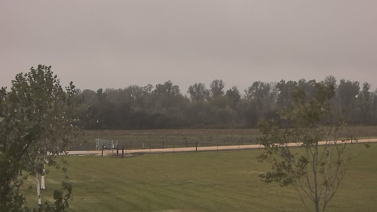 Thumbnail for current weather camera view from Long Acres Ranch in Richmond, Texas