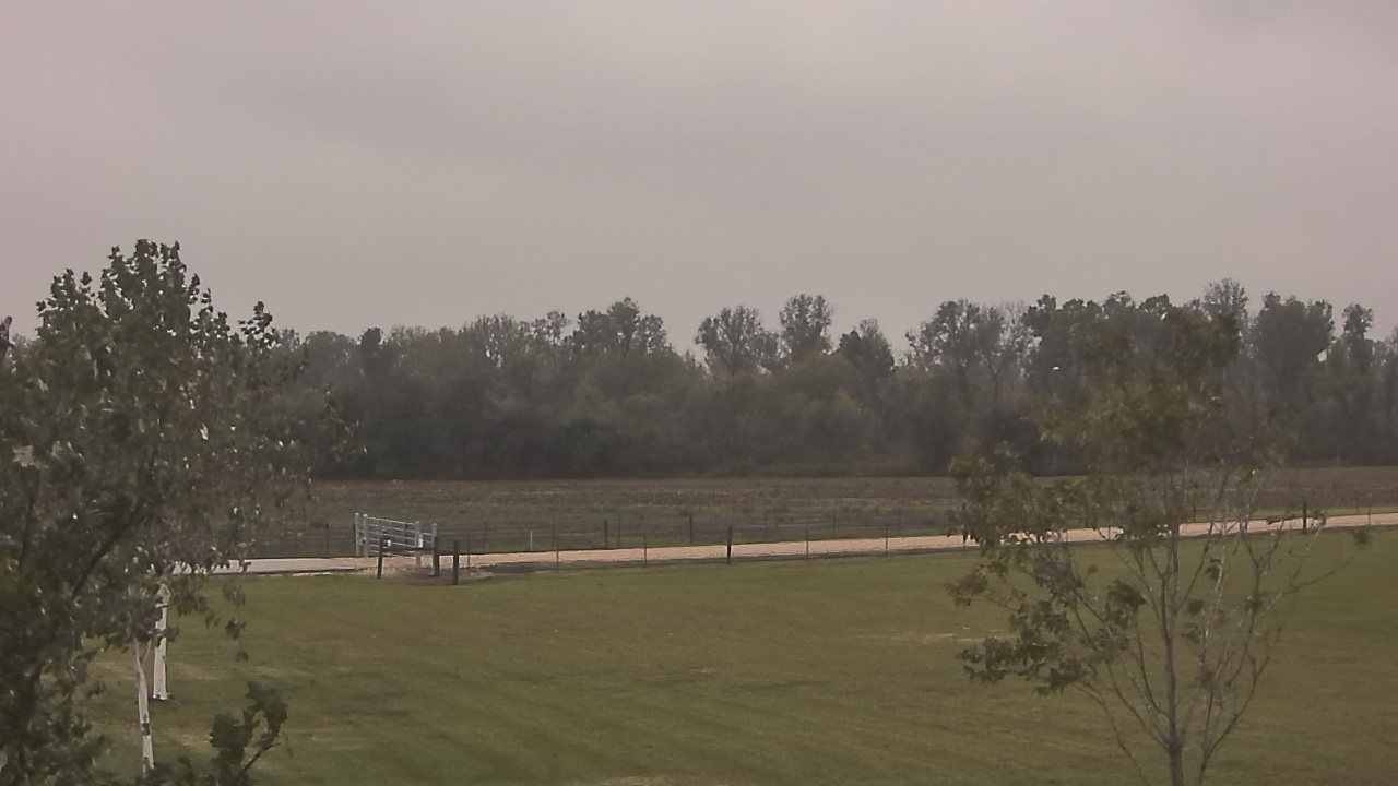 Thumbnail for current weather camera view from Long Acres Ranch in Richmond, Texas