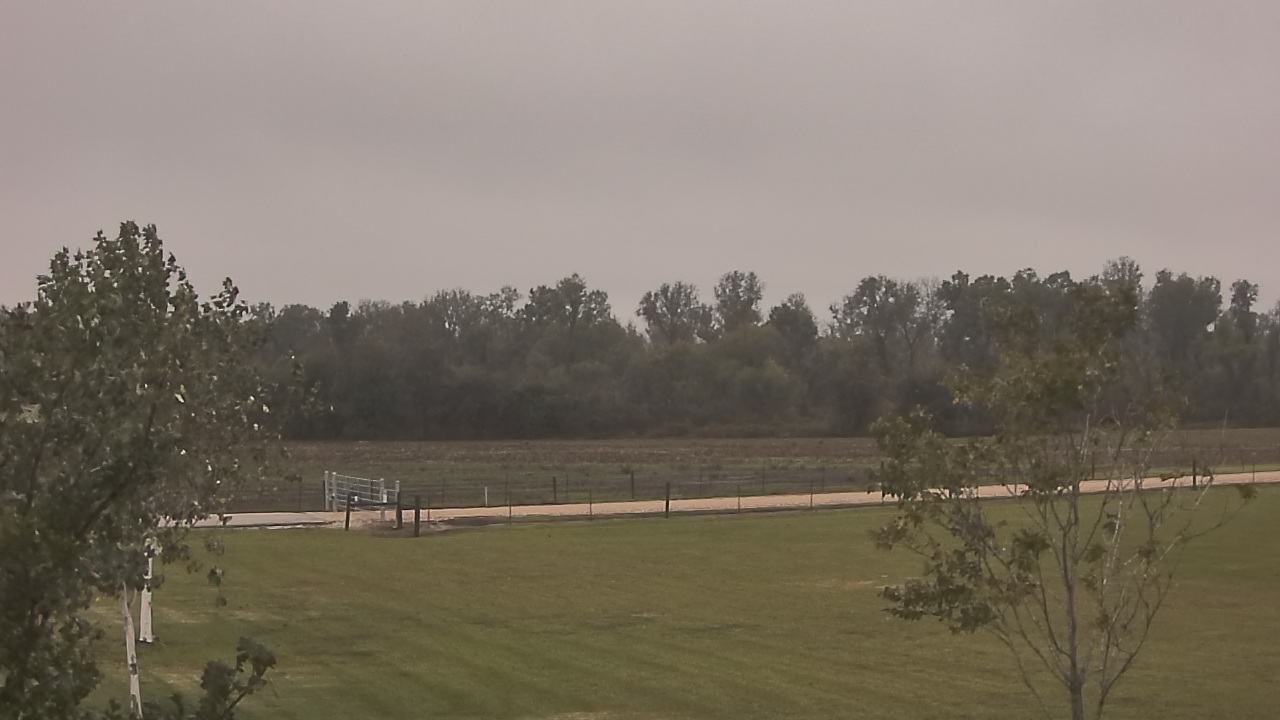 Thumbnail for current weather camera view from Long Acres Ranch in Richmond, Texas