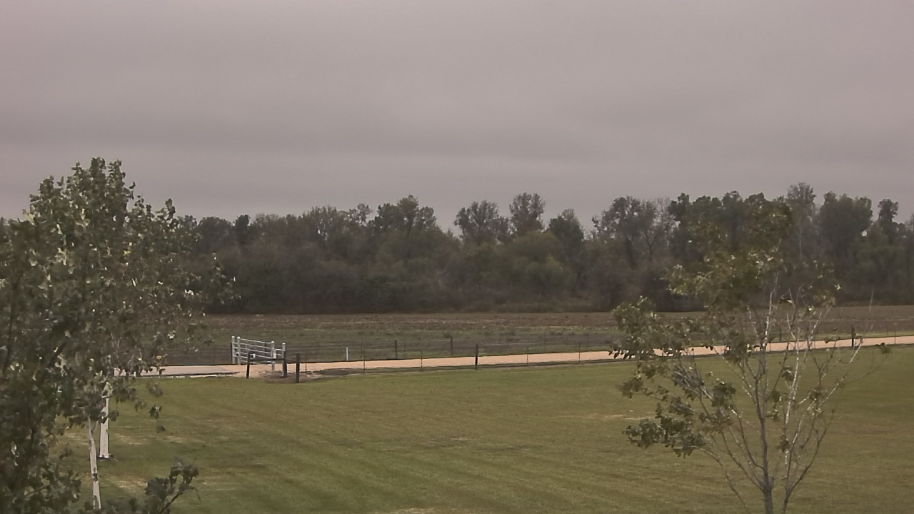 Thumbnail for current weather camera view from Long Acres Ranch in Richmond, Texas