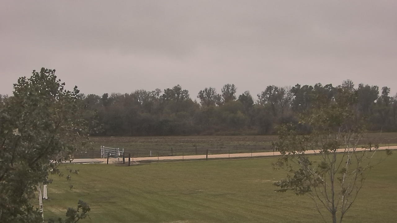 Thumbnail for current weather camera view from Long Acres Ranch in Richmond, Texas