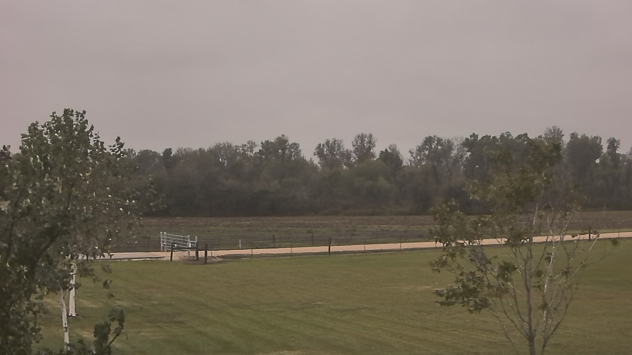 Thumbnail for current weather camera view from Long Acres Ranch in Richmond, Texas