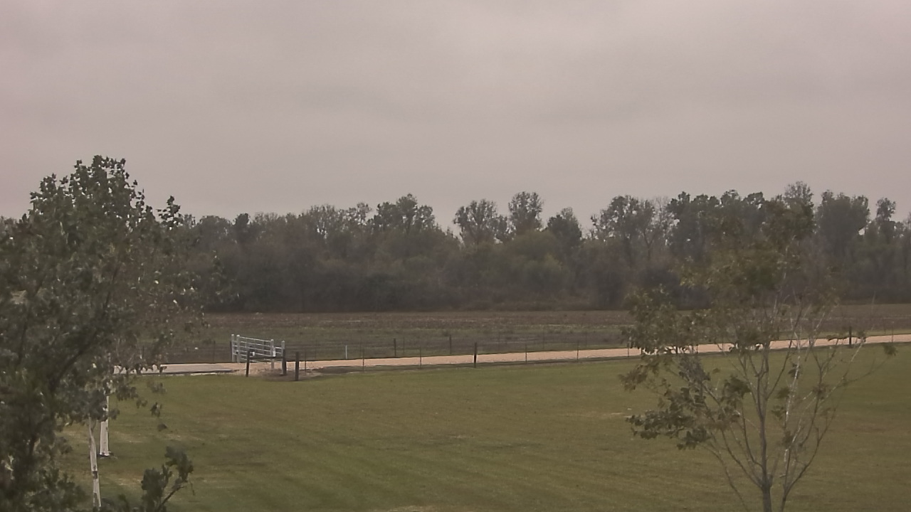 Thumbnail for current weather camera view from Long Acres Ranch in Richmond, Texas