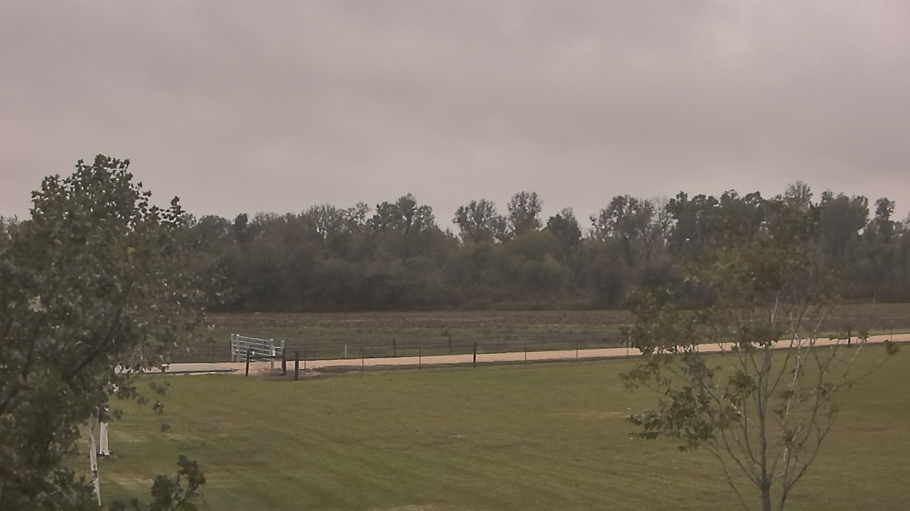 Thumbnail for current weather camera view from Long Acres Ranch in Richmond, Texas