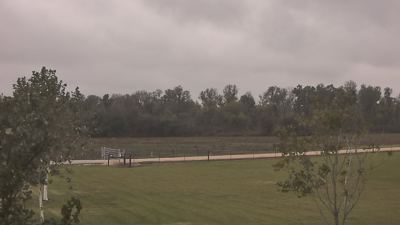 Thumbnail for current weather camera view from Long Acres Ranch in Richmond, Texas