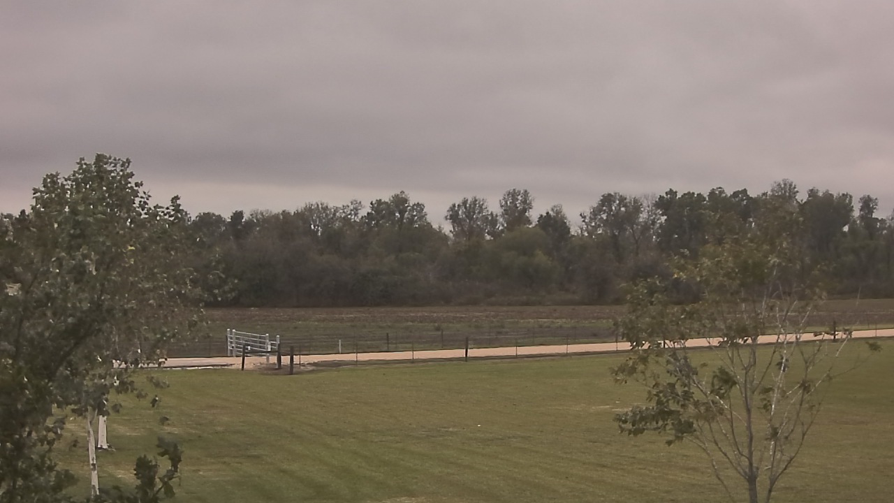 Thumbnail for current weather camera view from Long Acres Ranch in Richmond, Texas