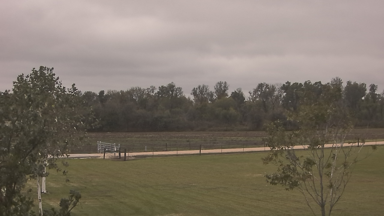 Thumbnail for current weather camera view from Long Acres Ranch in Richmond, Texas