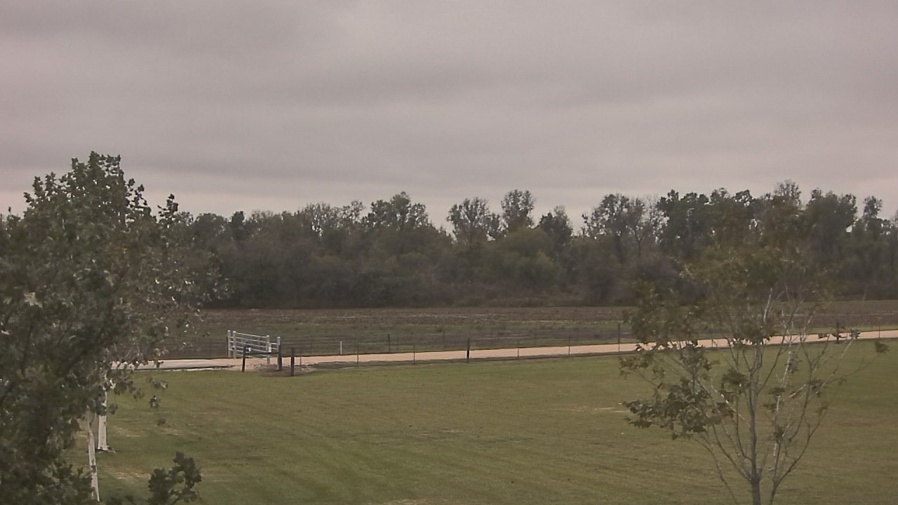 Thumbnail for current weather camera view from Long Acres Ranch in Richmond, Texas