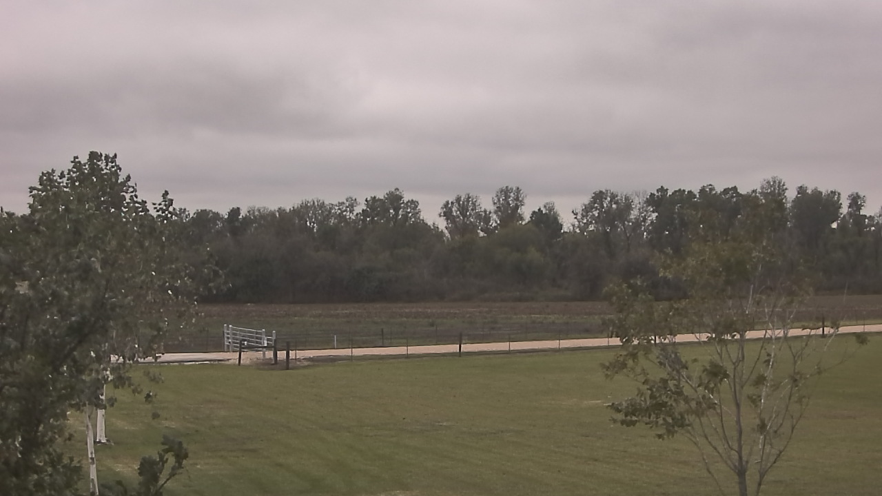 Thumbnail for current weather camera view from Long Acres Ranch in Richmond, Texas