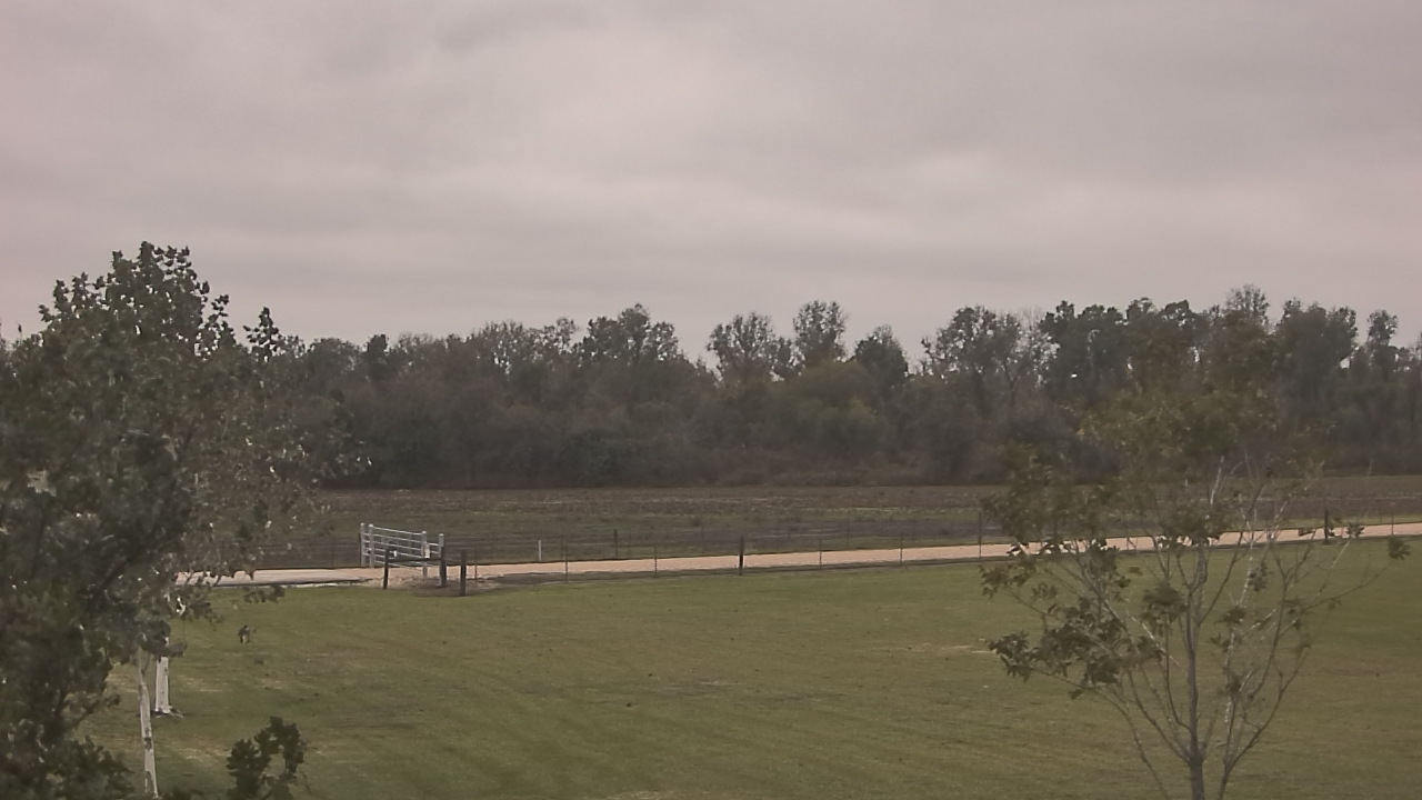 Thumbnail for current weather camera view from Long Acres Ranch in Richmond, Texas