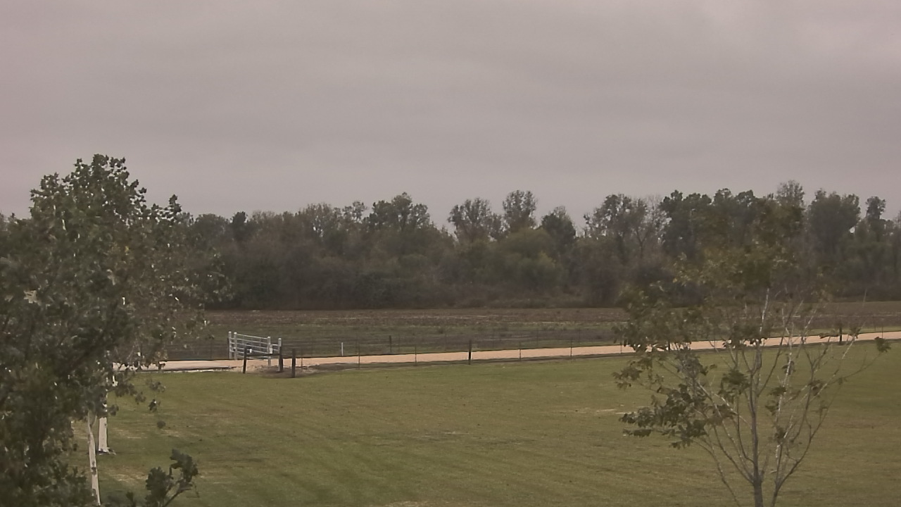 Thumbnail for current weather camera view from Long Acres Ranch in Richmond, Texas