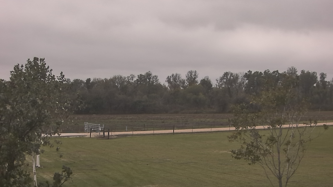 Thumbnail for current weather camera view from Long Acres Ranch in Richmond, Texas