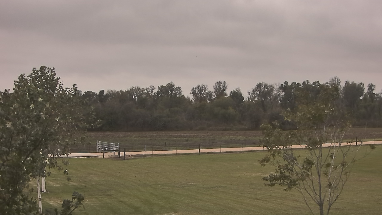 Thumbnail for current weather camera view from Long Acres Ranch in Richmond, Texas