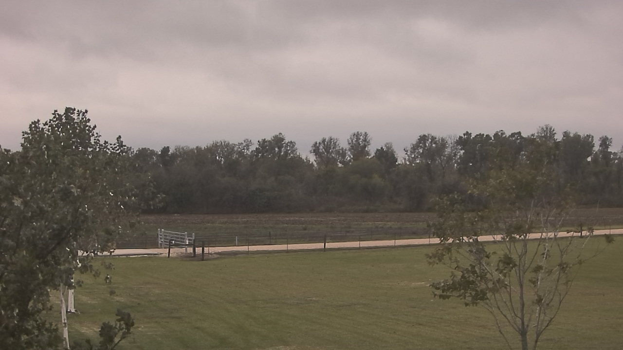 Thumbnail for current weather camera view from Long Acres Ranch in Richmond, Texas