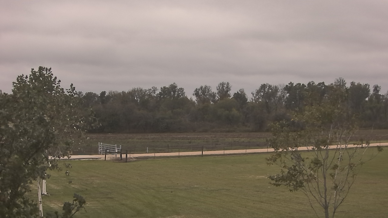 Thumbnail for current weather camera view from Long Acres Ranch in Richmond, Texas