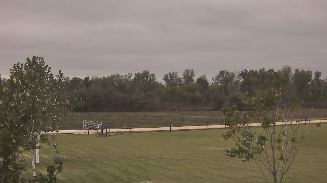 Thumbnail for current weather camera view from Long Acres Ranch in Richmond, Texas