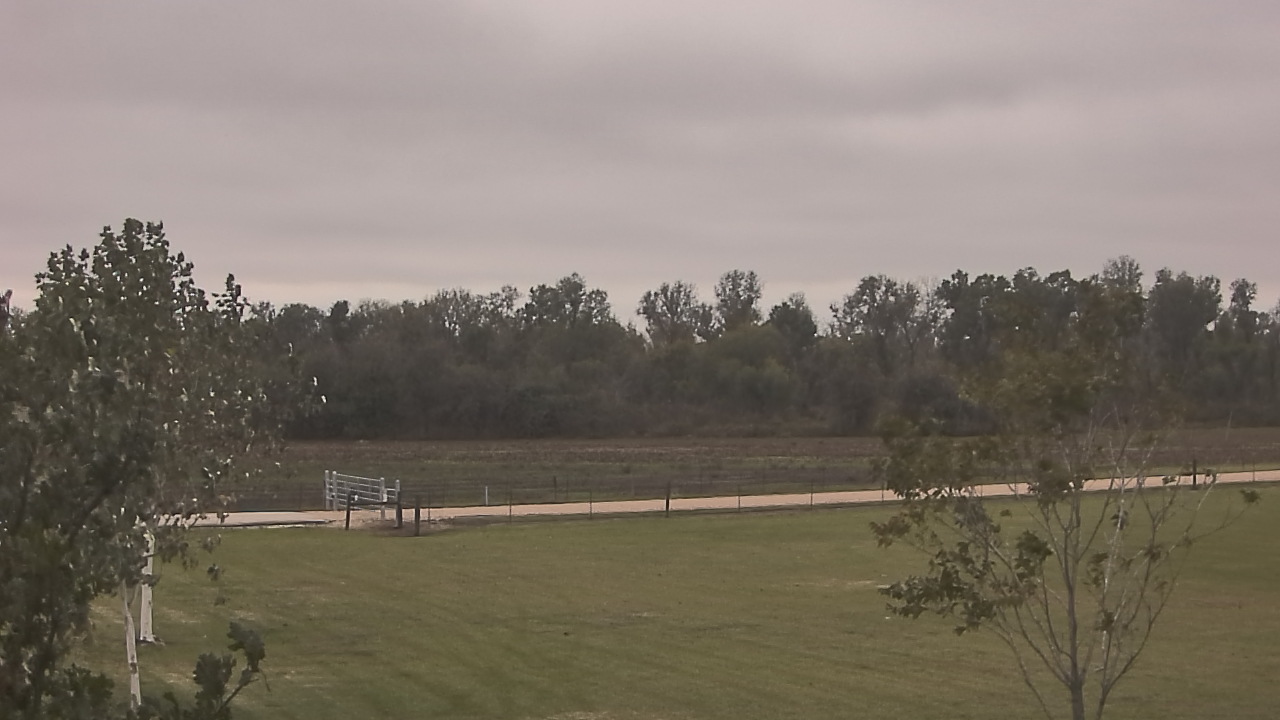 Thumbnail for current weather camera view from Long Acres Ranch in Richmond, Texas