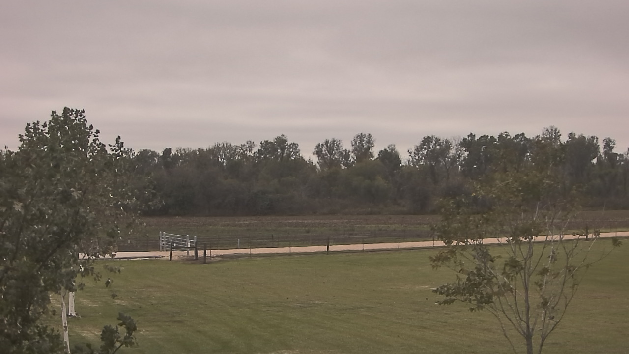 Thumbnail for current weather camera view from Long Acres Ranch in Richmond, Texas