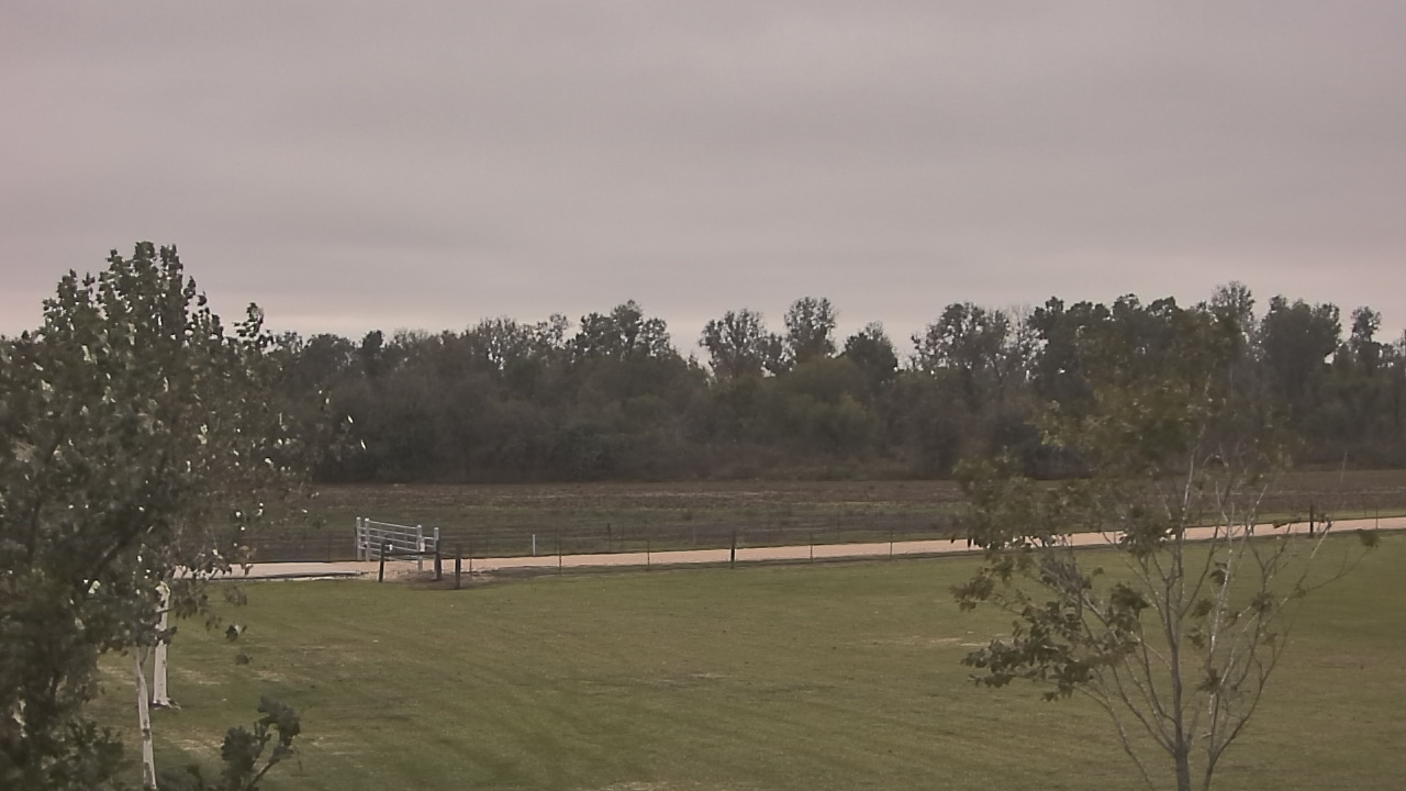 Thumbnail for current weather camera view from Long Acres Ranch in Richmond, Texas