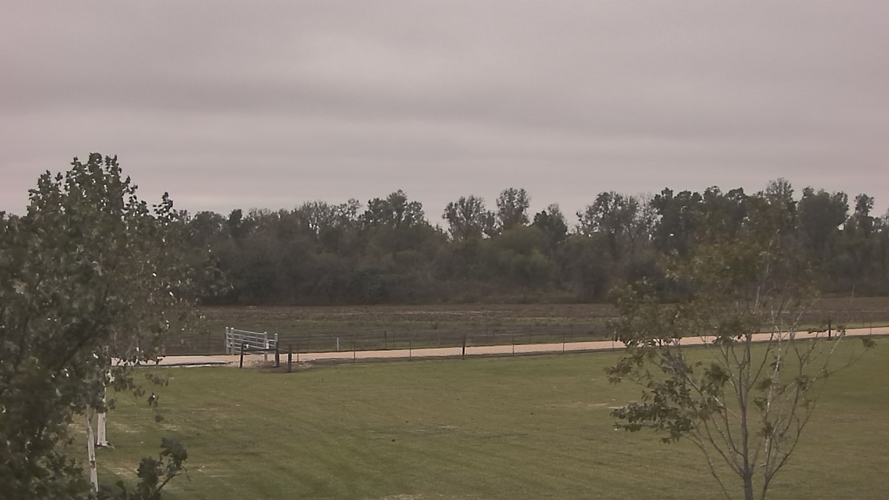 Thumbnail for current weather camera view from Long Acres Ranch in Richmond, Texas