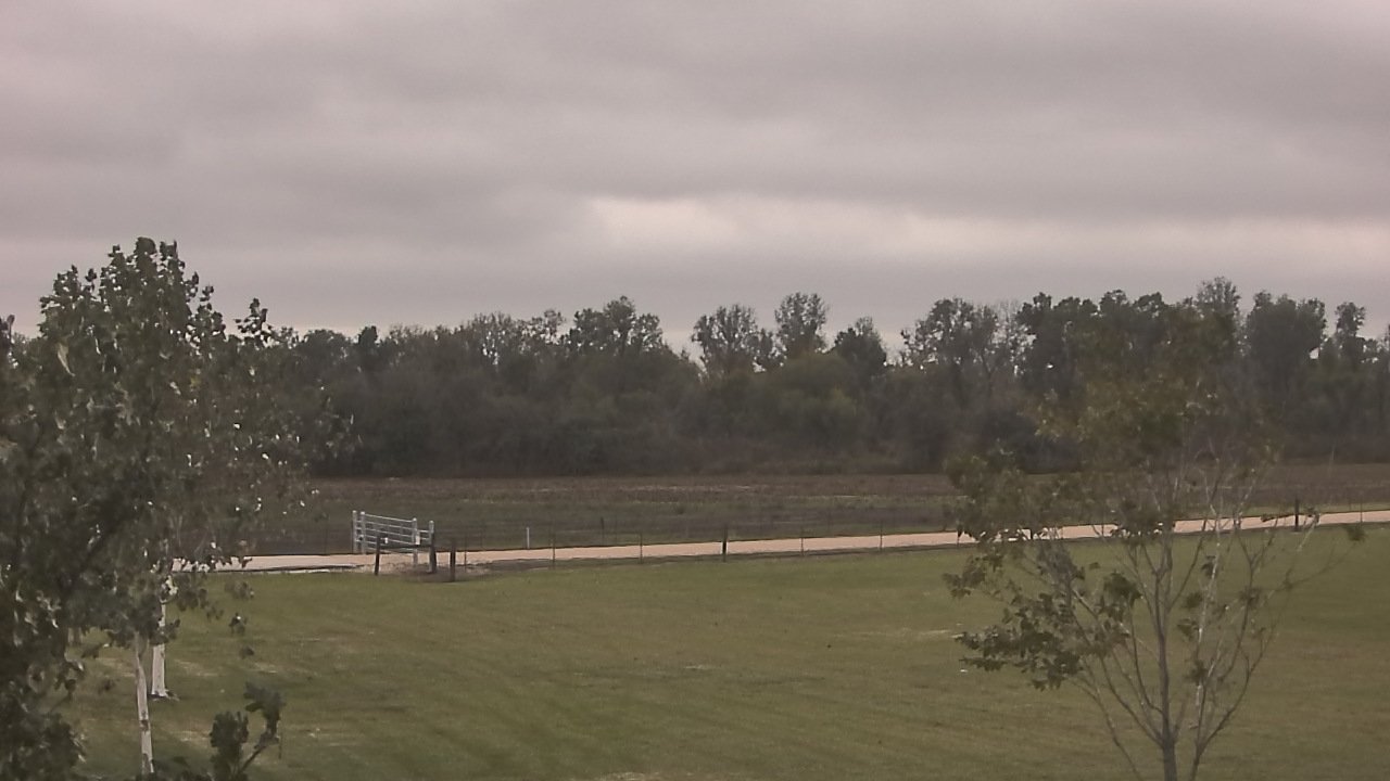 Thumbnail for current weather camera view from Long Acres Ranch in Richmond, Texas