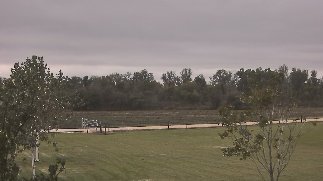 Thumbnail for current weather camera view from Long Acres Ranch in Richmond, Texas