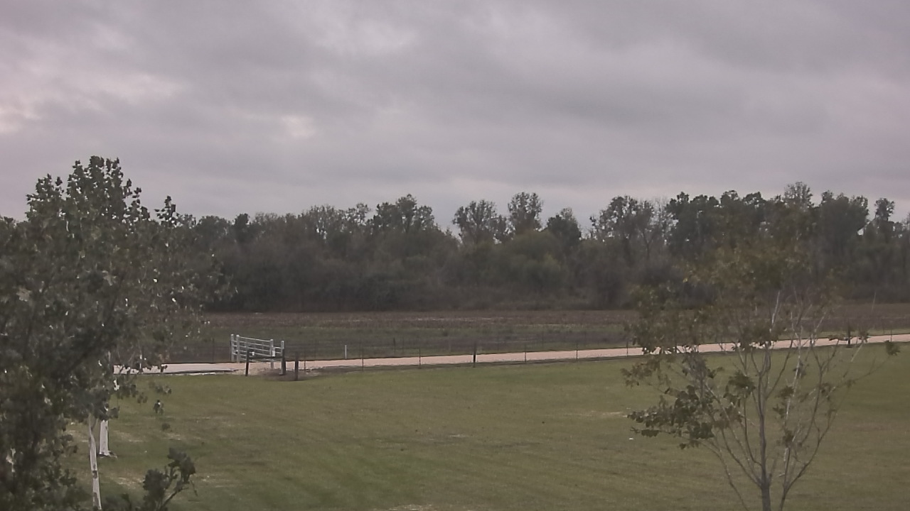 Thumbnail for current weather camera view from Long Acres Ranch in Richmond, Texas