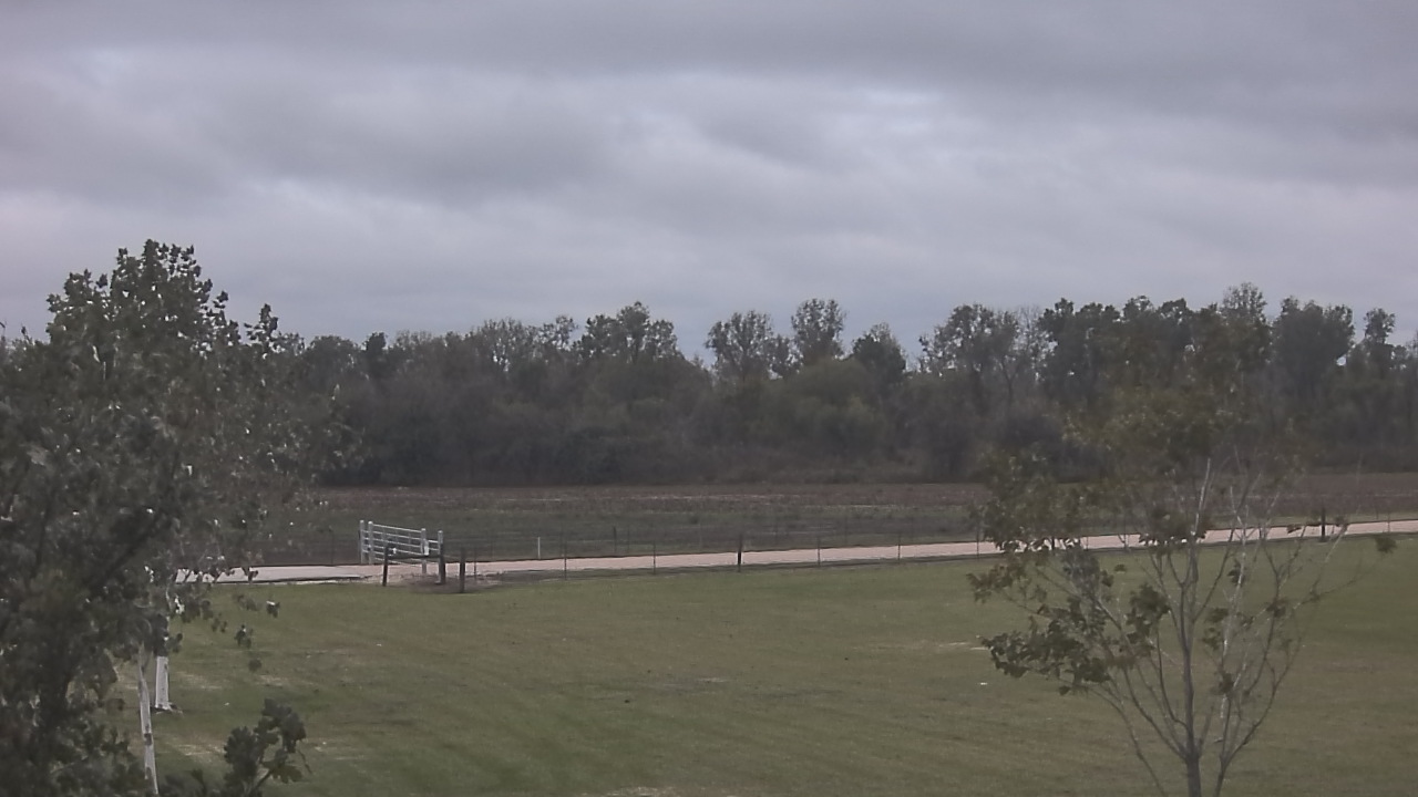 Thumbnail for current weather camera view from Long Acres Ranch in Richmond, Texas