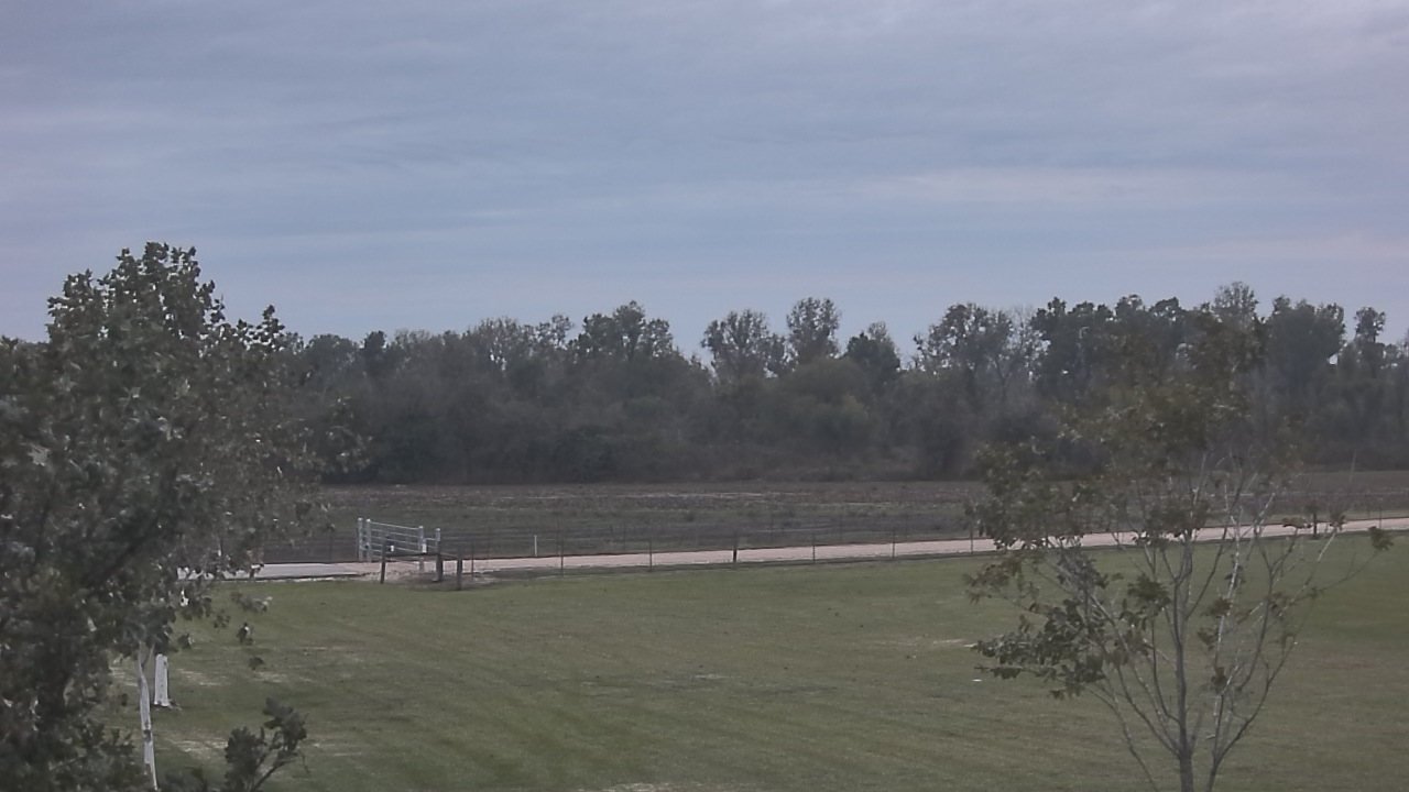 Thumbnail for current weather camera view from Long Acres Ranch in Richmond, Texas