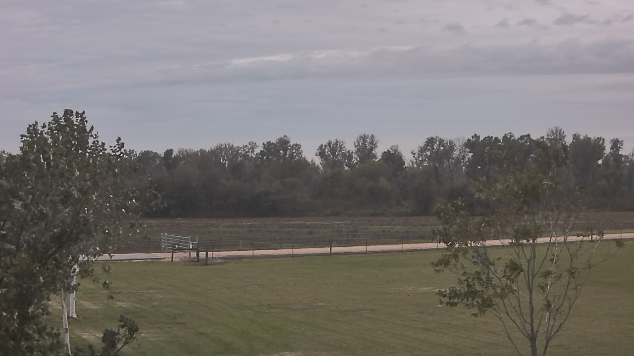 Thumbnail for current weather camera view from Long Acres Ranch in Richmond, Texas