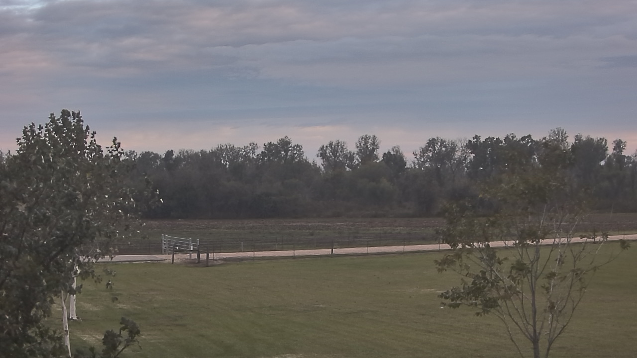 Thumbnail for current weather camera view from Long Acres Ranch in Richmond, Texas