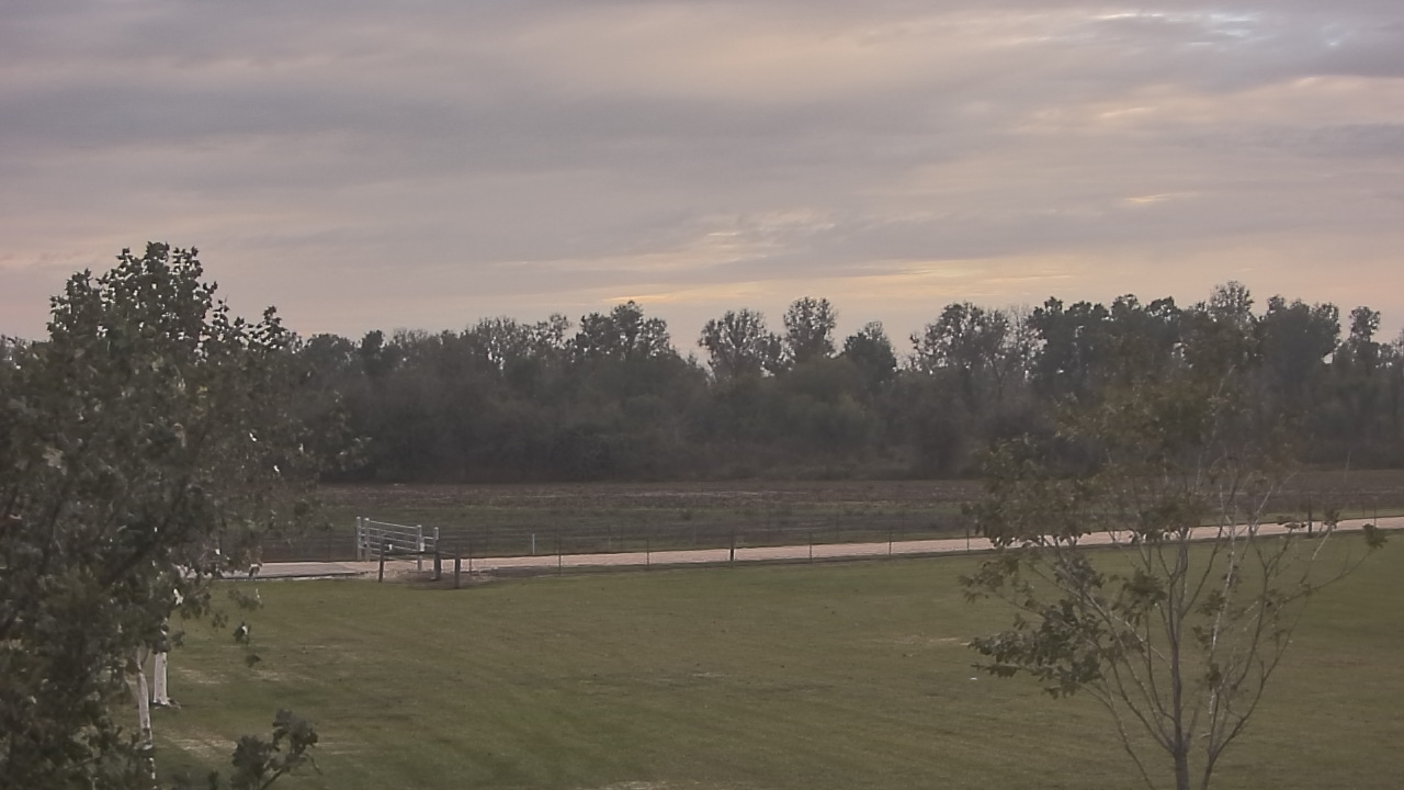 Thumbnail for current weather camera view from Long Acres Ranch in Richmond, Texas