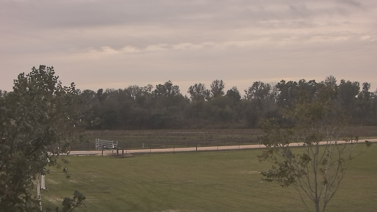 Thumbnail for current weather camera view from Long Acres Ranch in Richmond, Texas