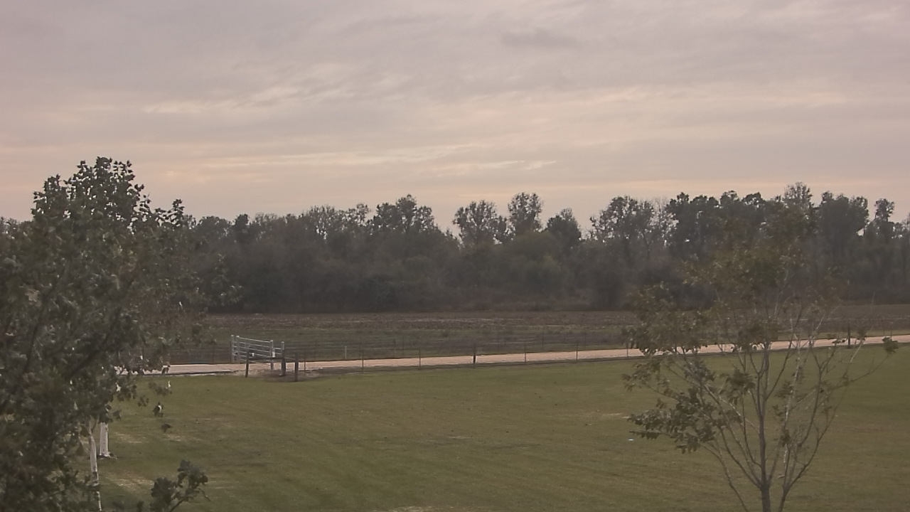 Thumbnail for current weather camera view from Long Acres Ranch in Richmond, Texas